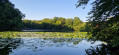 Etang