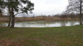 Etang