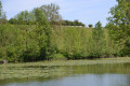 Etang