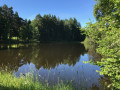 étang étang