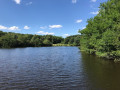 Etang