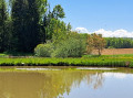 Etang voisin de l'&eacute;tang du Cur&eacute;