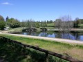 Etangs communaux