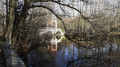 Etangs de Bonnelles