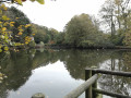 Etangs de Keroual