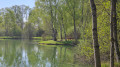 Etangs de la Bar