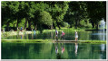 Etangs des Forges Etangs des Forges