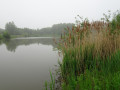 Etangs du Paradis sous la brume