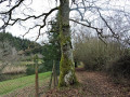 Etangs Marnay