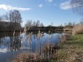 Etangs