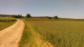 Étendues agricoles