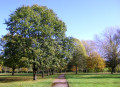 Eton college Grounds