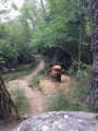 Étrange rencontre