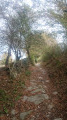 Etroit et empierré