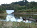 Extension du plan d'eau