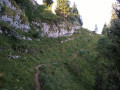 La Combe de l'If depuis le Charmant Som La Combe de l'If depuis le Charmant Som
