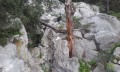 Failles Failles