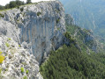 Falaise Falaise