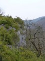 Falaise