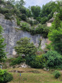 Falaise