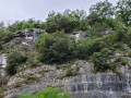 Falaise