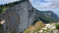 Falaise