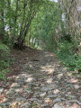 Fallais : Chemin pav&eacute;