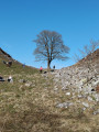 Peel Crags & Winshield Crags from Vindolanda