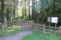 Fardross forest oak and beech