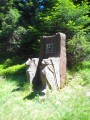 Fauteuil du Roi des Forêts