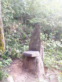 Fauteuil Fauteuil