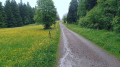 Feldberg