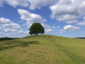 Feldherrnhügel