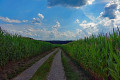 Weinberg-Rednitztal-Wanderweg