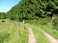 Feldweg Kroppacher Schweiz