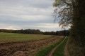 Feldweg rund um Buch