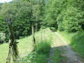 Feldweg