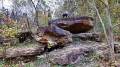 Felsen hinter dem Barfußpfad