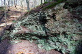 Felsen in der Landgrafenschlucht
