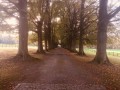 Orne, campagne et châteaux autour d'un ruisseau en Brabant Wallon Orne, campagne et châteaux autour d'un ruisseau en Brabant Wallon