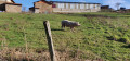 Ferme de la Bottière Ferme de la Bottière