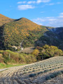 Ferme et lavandes Ferme et lavandes