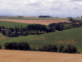 Ferme isolée Ferme isolée
