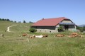 Ferme Le Tumet