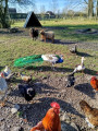 ferme saint jean
