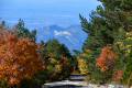 Festival de couleurs