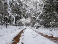 Chemin pratiquable