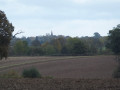Fields near Homewood