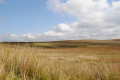 Sliabh Beagh Way