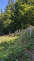 Platzerwasel, Lauchenkopf, Col d'Oberlauchen, retour par l'Auberge Uff Rain